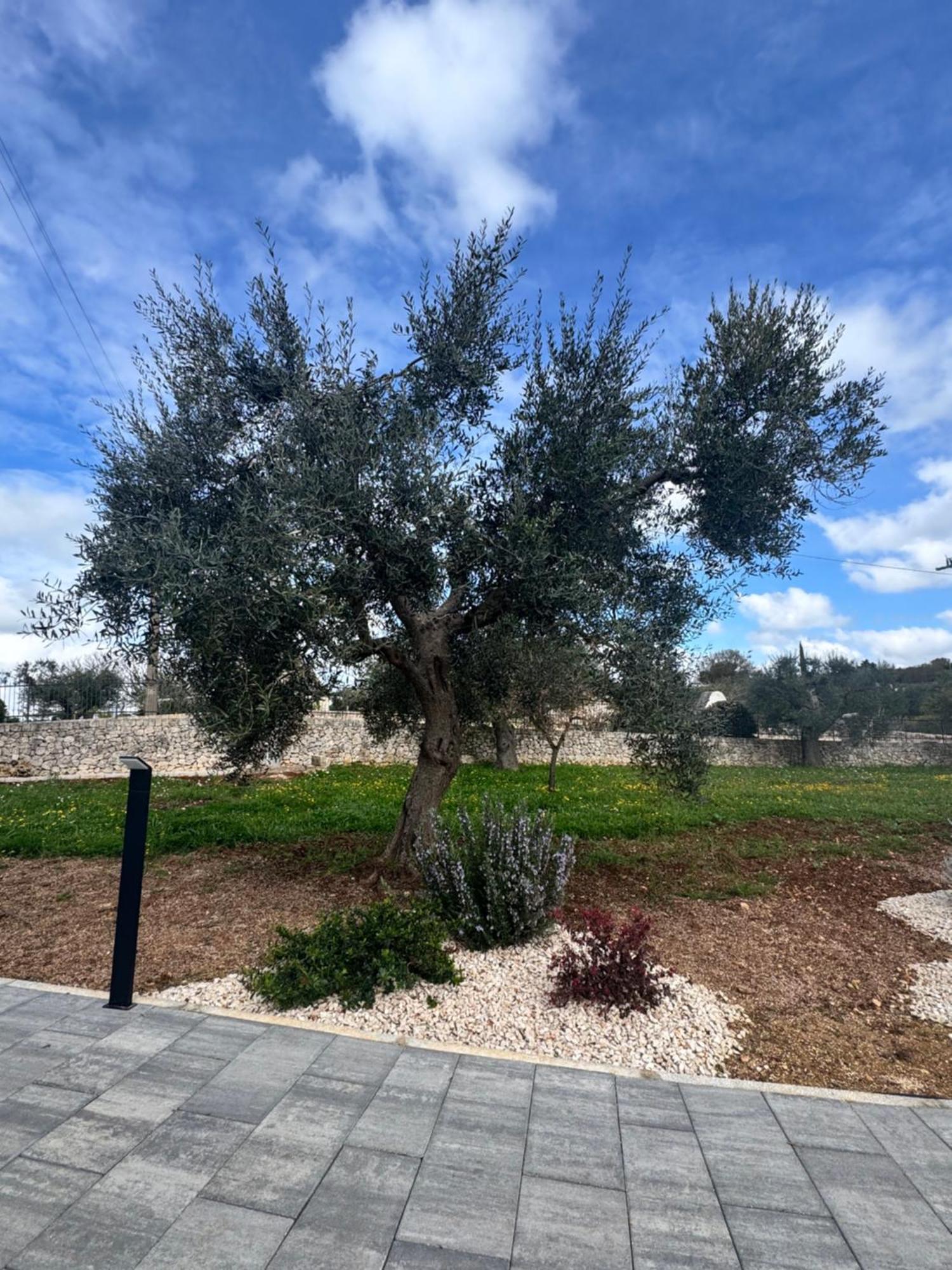 Alberobbe Luxury
